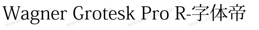 Wagner Grotesk Pro R字体转换